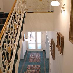 Wrought iron railings - 19th century villa Wrought iron railings - 19th century villa
