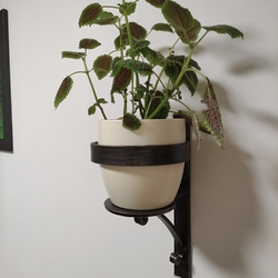 Forged wall holder for flower pot indoors Forged wall holder for flower pot indoors