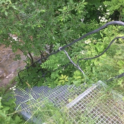 Escalier forg avec balustrade fabriqu pour l'accès à la rivière