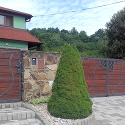 Handgeschmiedetes Tor und Pforte mit Holzfüllung als Zugang zu einem Einfamilienhaus
