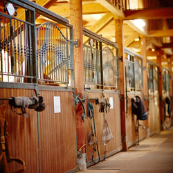Panneaux avant forgs pour boxes à chevaux