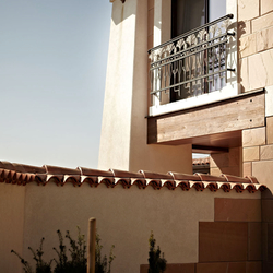 Wrought iron railing on a family house French window - exterior railing Wrought iron railing on a family house French window - exterior railing