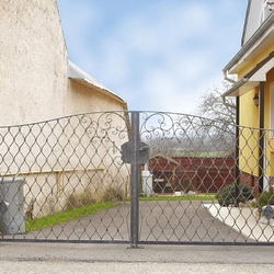 Schmiedeeisernes Tor mit feinen Details – Tor an einem Einfamilienhaus