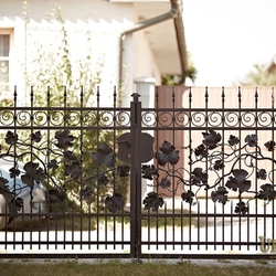 A vine embedded in a wrought iron gate