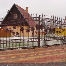 Schmiedeeisernes Tor bewachsen mit Weinrebe