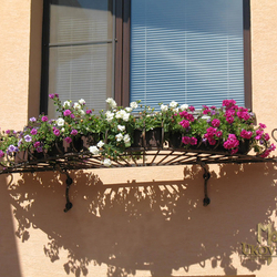 A curved flower holder