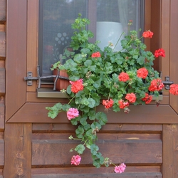 Vintage window ledge with flower pot holders in vintage style on a cottage Vintage window ledge with flower pot holders in vintage style on a cottage