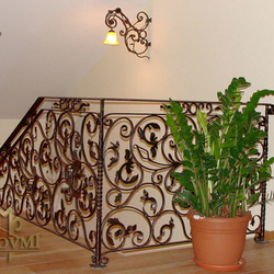 A wrought iron railing for the more demanding customer