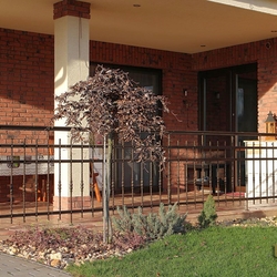 A wrought iron terrace railing