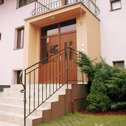 A wrought iron railing - house entrance