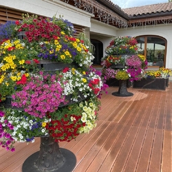 Artistic garden design - flower pots forged as trees with rotating bearings Artistic garden design - flower pots forged as trees with rotating bearings